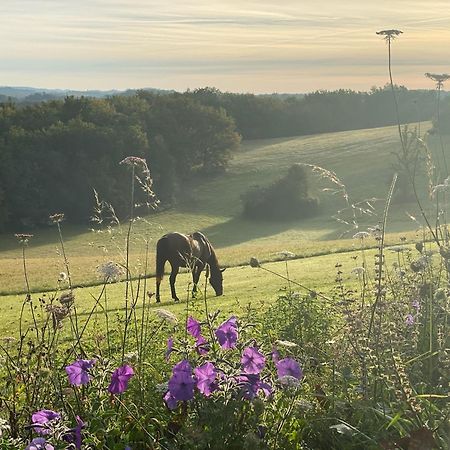 Вілла Domaine De Cazal - Gite 2 Pers Avec Piscine Au Coeur De 26 Hectares De Nature Preservee Сен-Сіпріян Екстер'єр фото