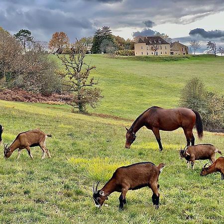 Вілла Domaine De Cazal - Gite 2 Pers Avec Piscine Au Coeur De 26 Hectares De Nature Preservee Сен-Сіпріян Екстер'єр фото