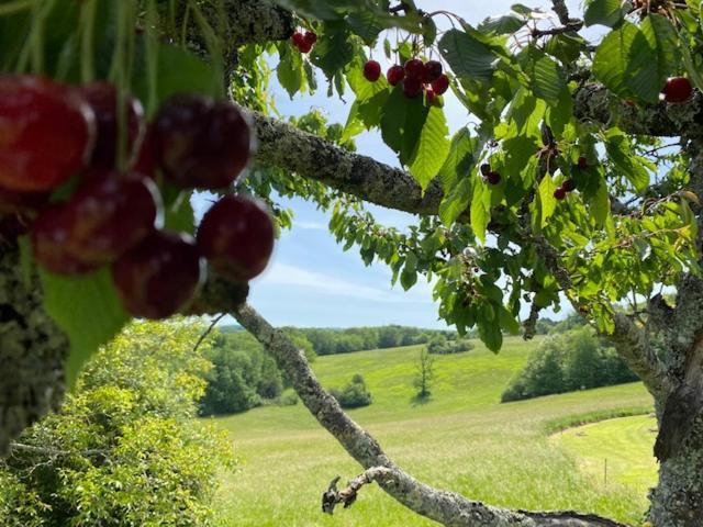 Вілла Domaine De Cazal - Gite 2 Pers Avec Piscine Au Coeur De 26 Hectares De Nature Preservee Сен-Сіпріян Екстер'єр фото