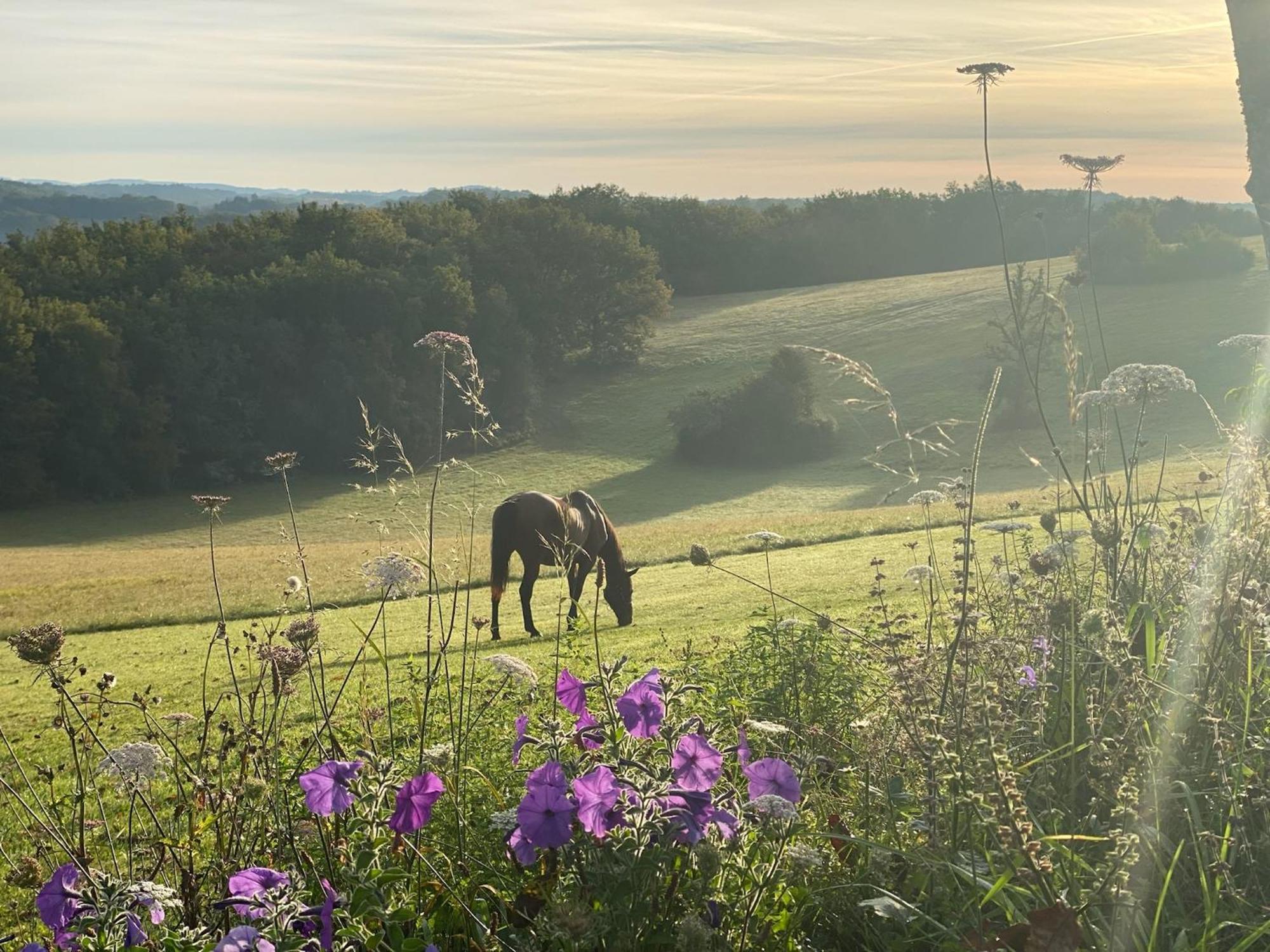 Вілла Domaine De Cazal - Gite 2 Pers Avec Piscine Au Coeur De 26 Hectares De Nature Preservee Сен-Сіпріян Екстер'єр фото